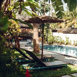 https://paddlecult-surf-retreat.kerala-hotels.net